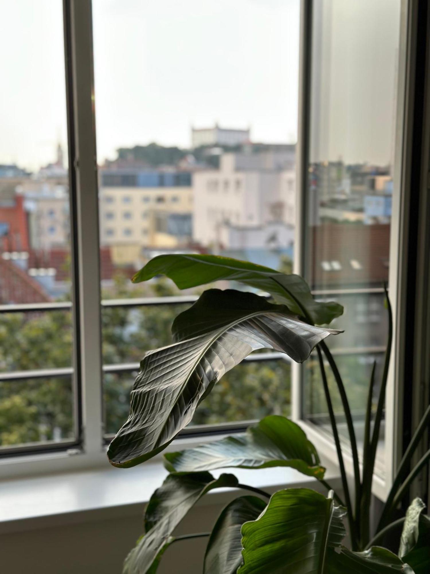 Urban Zenhouse No.2 - Breakfast Included Apartment Bratislava Bagian luar foto